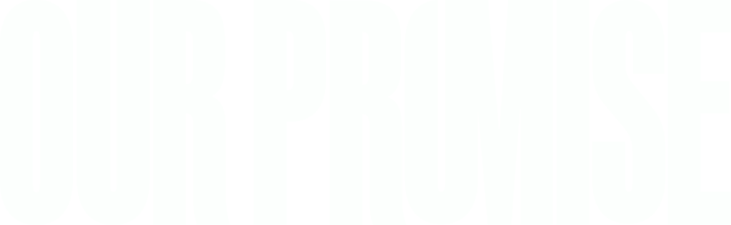 kopie_von_our_promise_logo_2022_weiss.png kopie_von_our_promise_logo_2022_weiss.png